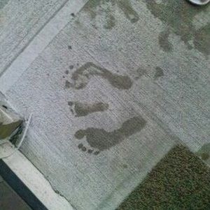 Meet your Posher, Connie